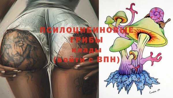 винт Аркадак