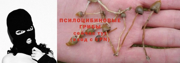 бутират Алзамай