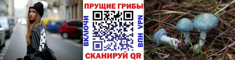 даркнет сайт  Заполярный  маркетплейс как зайти  Псилоцибиновые грибы Magic Shrooms 